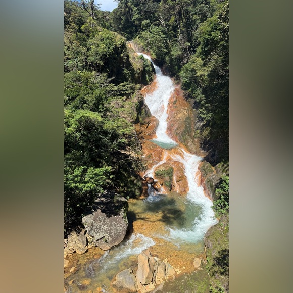 The tray is loaded🎁
Un/Listed Items!
Shop till You Drop! - Picture 7 of 14